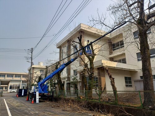 高所作業車等を使用した場合の伐採