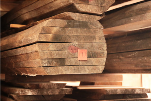 木の性格を読み、丸太から材を選びます。